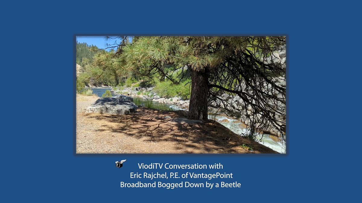 Broadband Bogged Down by a Beetle