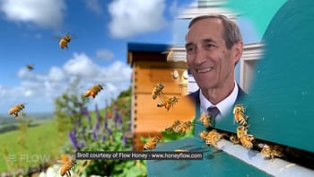 Bob Gessner has a hobby that helps the pollinators.