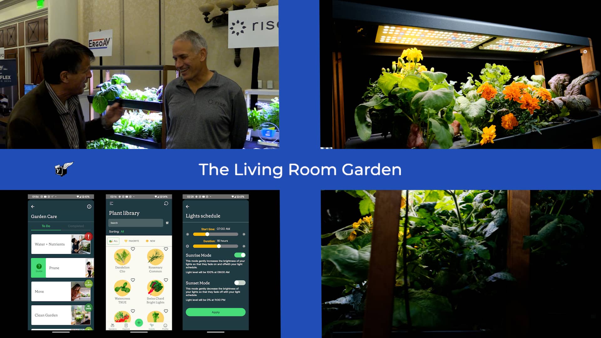 The Living Room Interactive Garden